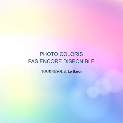 Robe CLOTHILDE